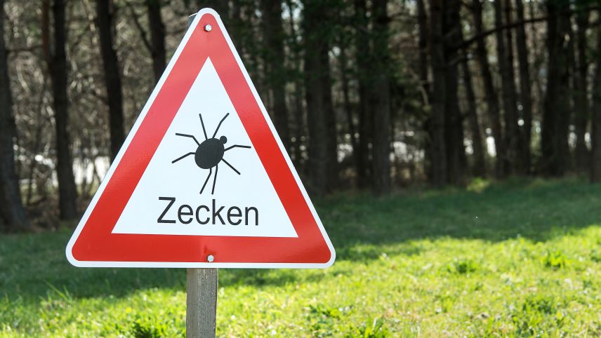 Auch das Oberengadin ist jetzt ein Risikogebiet für Zecken. Foto:Somedia AG