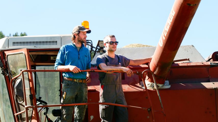 Nando Neuhäulser (links) und Carlo Müller während den Drescharbeiten in Zernez. Fotos: Jon Duschletta
