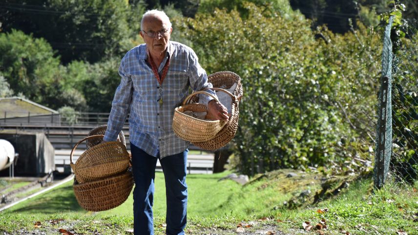 Die Kastanien dürfen nur von den Besitzerfamilien der Kastanienbäume geerntet werden. Fotos: Urs Oskar Keller