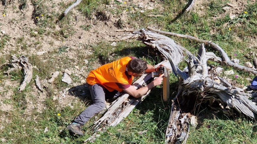 Insgesamt wurden neun solcher Kamerafallen über mehrere Wochen im Schweizerischen Nationalpark aufgestellt mit dem Ziel, zusammen mit KI neue Datensätze zu liefern. Foto: Hans Lozza