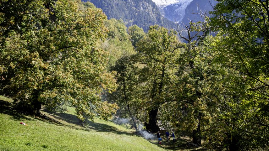 In der Selve. Foto: Landliebe Edition