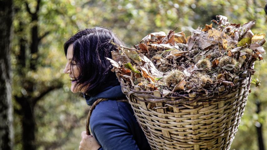 Kastanien sammeln im Bergell. Foto: Landliebe Edition
