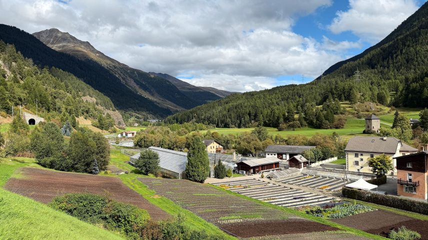 Das Areal der Giardinaria Müller befindet sich im Perimeter der Umfahrungspläne. Foto: Fadrina Hofmann