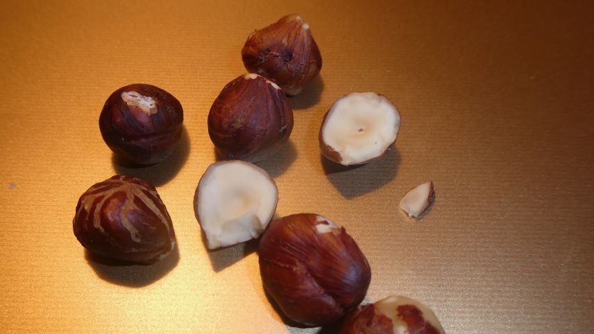 Können ab September geerntet werden und sind in der Küche vielseitig verwendbar: die Haselnüsse. Foto: Jürg Baeder