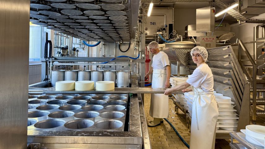 Käseproduktion in der LESA. Foto: Fadrina Hofmann
