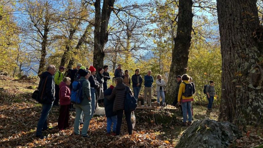 Die geführten Besichtigungen des Kastanienwaldes stiessen auf grossen Andrang. Foto: Bregaglia Engadin Turismo