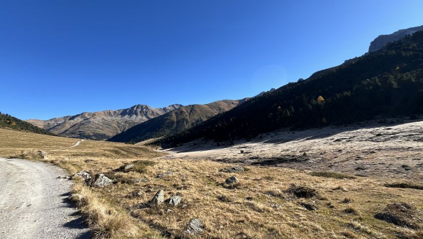 Il God da Tamangur (a dretta) es üna bella bunura d’october illa sumbriva, intant cha la spuonda vidvart sta i’l sulai. Chenüna vart da la val es dimena la «spuonda vers daman»? (fotografia: David Truttmann).