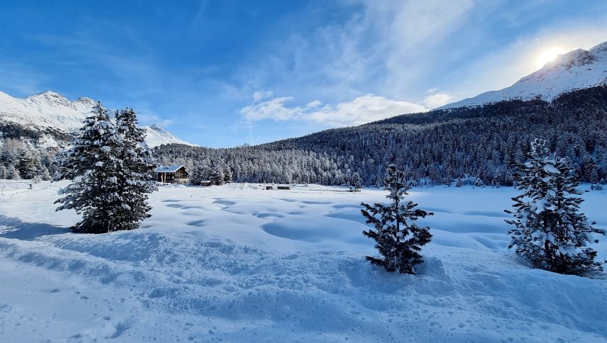 Illas regiuns otas da la Svizra s’ha la media da la quantità da naiv redotta marcantamaing ils ultims decennis. fotografia: Olivia Portmann-Mosca