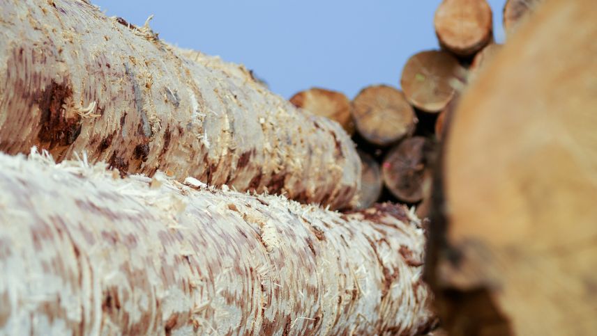 Foto: Jon Duschletta