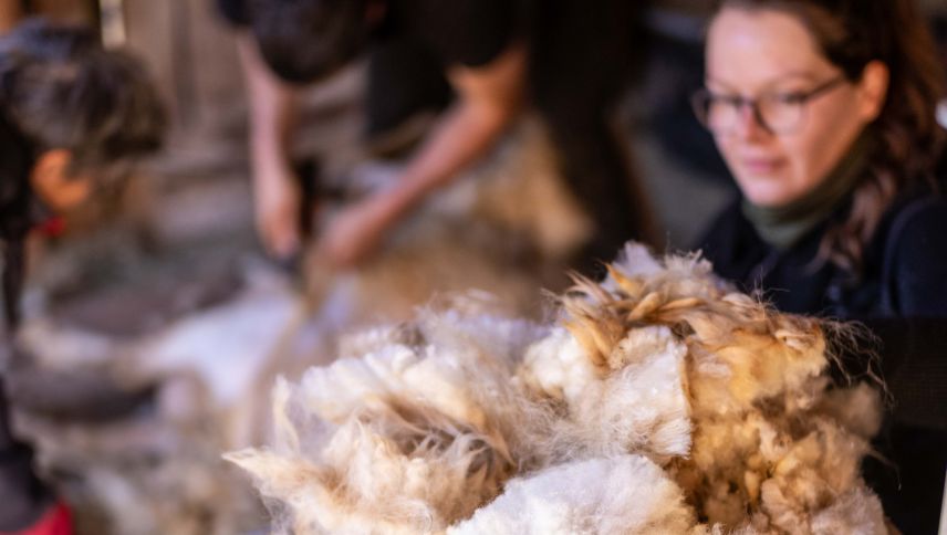 Sidonia Pazeller begutachtet die Wolle. Foto: Mayk Wendt
