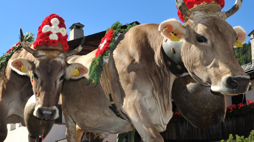 Foto: engadinfoto.ch/Rolf Müri