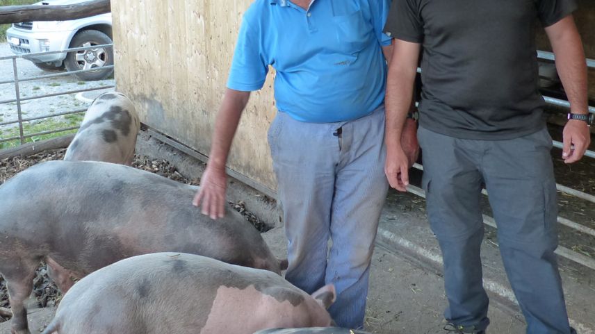 Bap e figl Mario ed Armon Kirchen guardan dals chucals davant la stalla a Planas (fotografia: Flurin Andry).