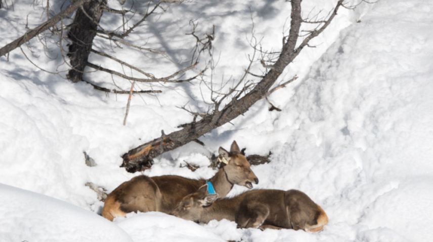 Foto: Claudio Gotsch