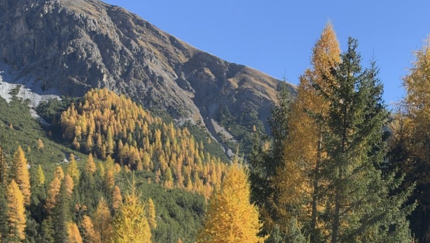 Foto: Larissa Bassin