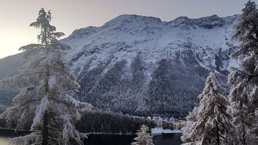 Der bereits dritte oder vierte Schneefall im Engadin diesen Winter. Wer zählt schon mit..... Foto: Sina Margadant