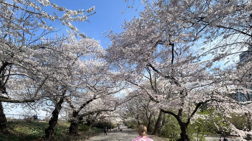 Foto: Fabiana Wieser