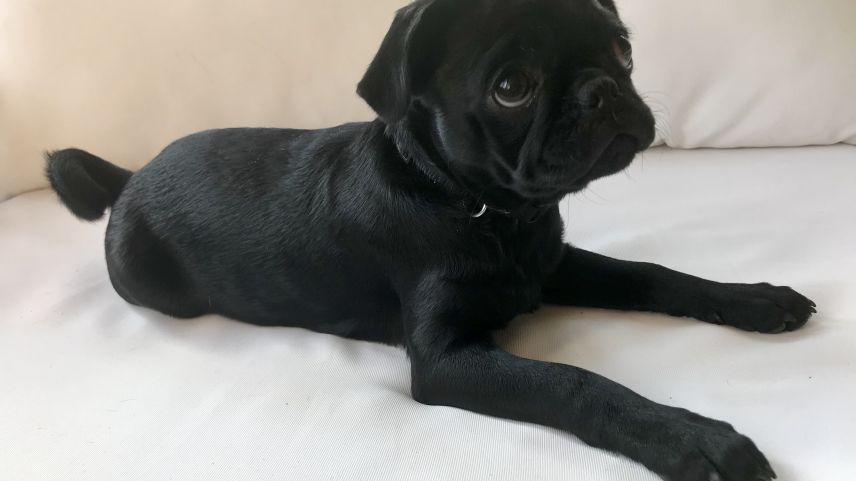 Wie die dreijährige Lulu, das Leben unserer Bloggerin Romana Ganzoni auf den Kopf stellt. Fotos: Romana Ganzoni