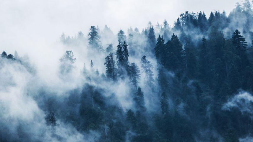 Foto: Pexels / Lum3n