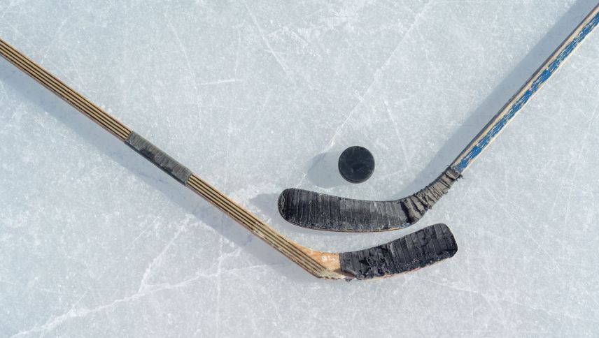 Foto: Shutterstock, Igor Link