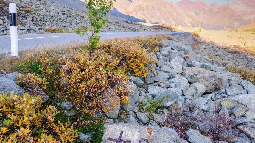 Im Gebiet Cruschetta unterhalb der Albula-Passhöhe befindet sich die Gemeindegrenze zwischen Bergün und La Punt Chaumues.ch. Fotos: Jon Duschletta