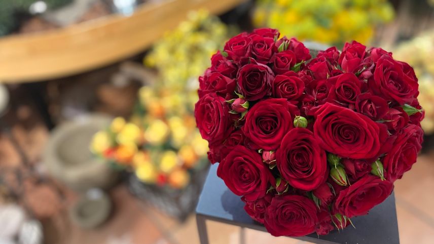 Tuot il bun pel Di da la mamma! (fotografia: Nicolo Bass