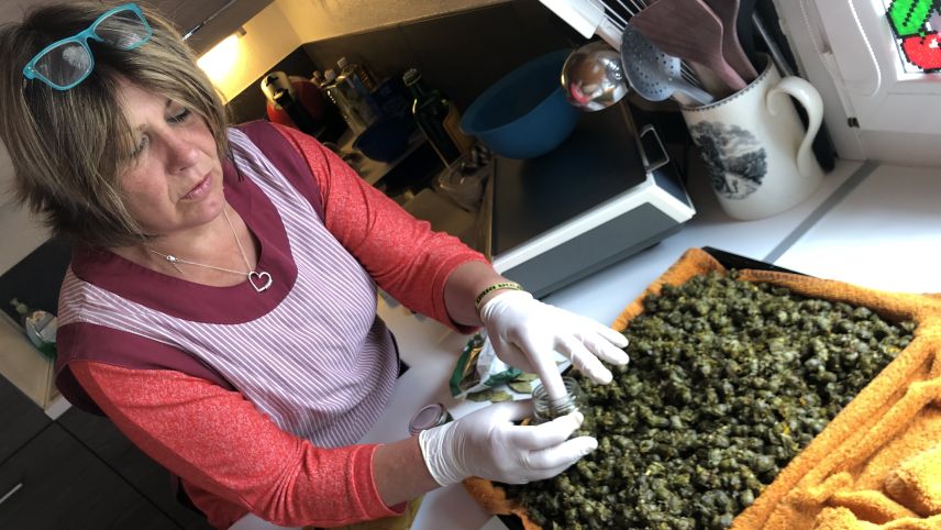 Durietta Buzzetti-Salis beim Abfüllen ihrer Löwenzahnknospen in die Einmachgläser. Foto: Marie-Claire Jur