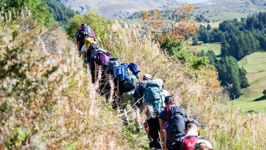 Je nach Tempo und Informationshunger kann die Wegstrecke des Gesundheitspfades in einigen Stunden zurückgelegt werden. Foto: Mayk Wendt