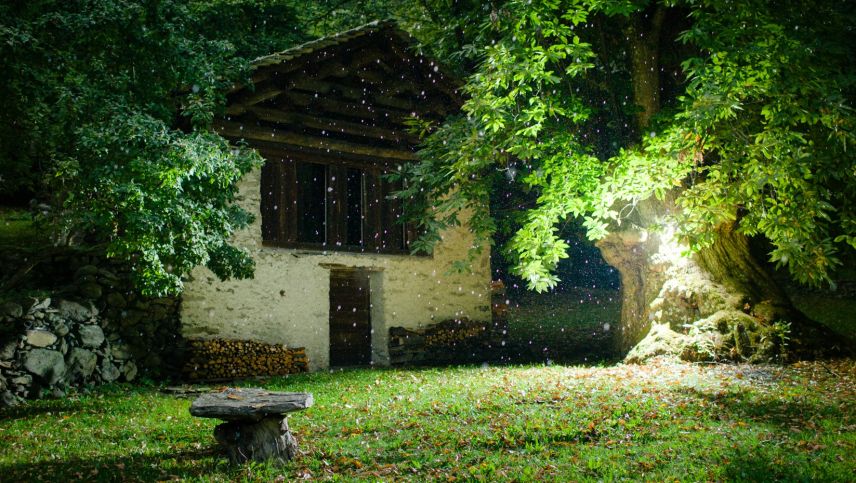 Auch in Brentan gibt es einen Spaziergang und eine Installation. Foto: Jaromir Kreilinger