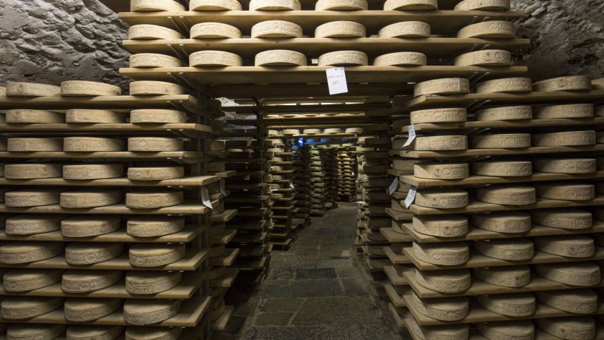 Bezeichnend für Chiavenna sind die Lagerhöhlen, "Crotti" genannt. Foto: Valchiavenna Turismo