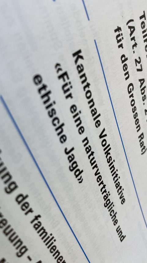 Foto: Jon Duschletta