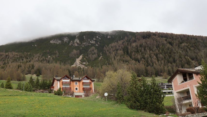 Il pro auncha verd, inua cha que vess da gnir realiseda la prüma etappa da la surfabricaziun Alvra. Las lavuors  dessan cumanzer in avrigl 2026 (fotografia: Martin Camichel).