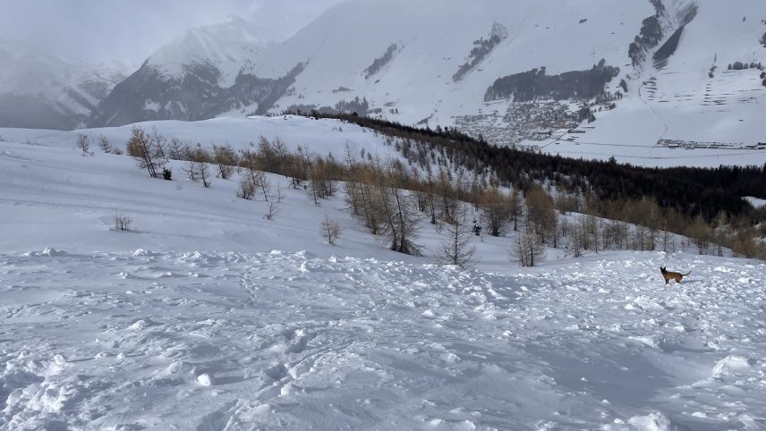 Üna negligenza chi ho chaschuno üna granda acziun da retschercha. Fotografia da la lavina suot il Piz Arpiglia inua chi d’eira gnieu scuviert ün ski abanduno la mited da favrer (fotografia: Pulizia chantunela).