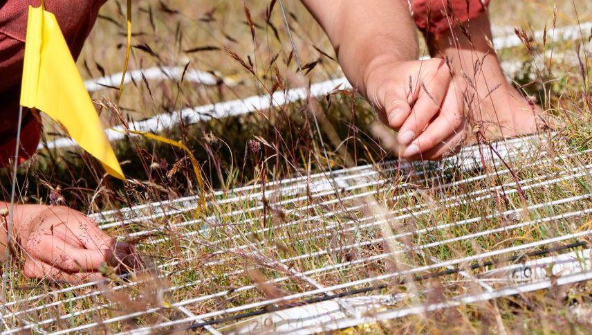 Während der Untersuchungen der Gipfelflora wurden in jeweils vier Untersuchungsfeldern pro Berggipfel minutiös jeder Grashalm, jedes verdorrte Pflänzchen und jede blühende Blume erfasst und mit früheren Erhebungen verglichen. Foto: Jon Duschletta