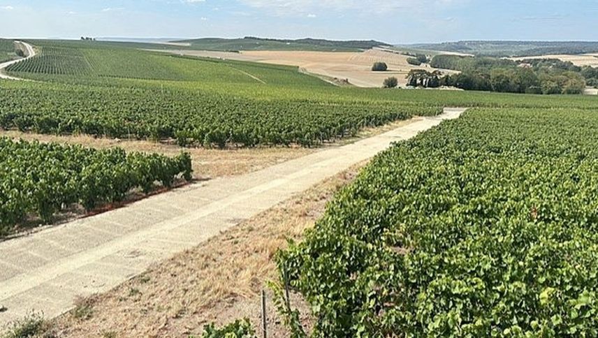Die Champagne. Foto: Daniel Müller