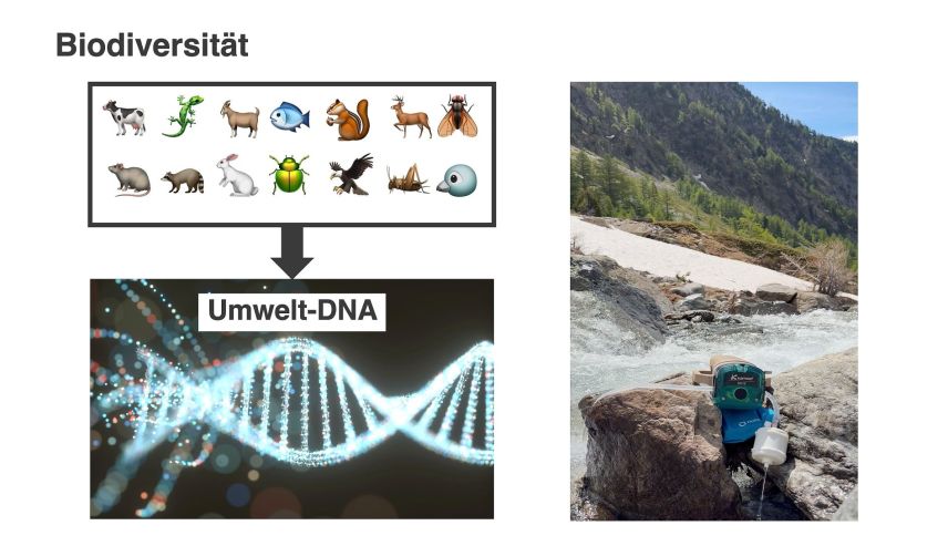 Dank hochsensibler Geräte zur Gewässerprobenahme (rechts) ist es heute möglich, winzige DNA-Spuren aus Fliessgewässern herauszufiltern. Grafik: Timo Rhyner 