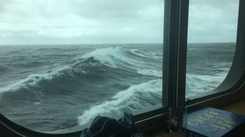 Ohne Smartphonesignal auf dem Atlantik: Zeit für Muse und Spiele. Fotos: Carla Sabato