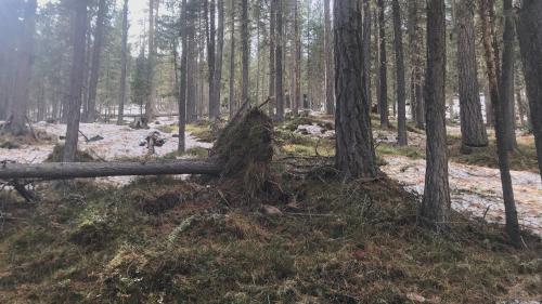 Umknicken oder Stehenbleiben? Fotos: Anne-Marie Flammersfeld