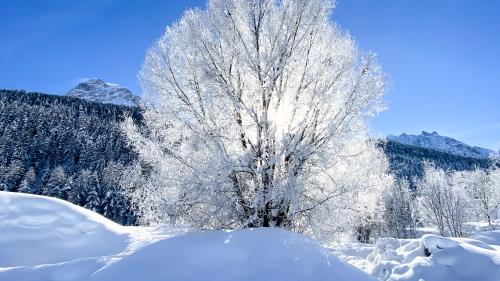 Foto: Dominik Täuber