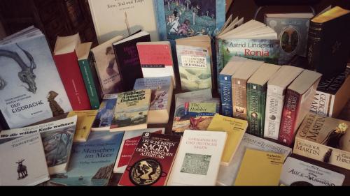 Game of Thrones. Oder: Von Drachen, Räubern, Zauber und Liebe. Fotos: Gianna Olinda Cadonau