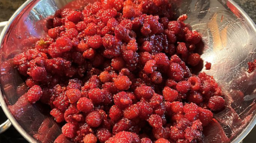 Foto: Anne-Marie Flammersfeld