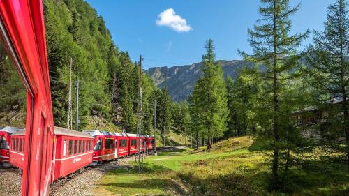 Memma bger temp per impissamaints aint il tren. (fotografia: Daniel Zaugg)