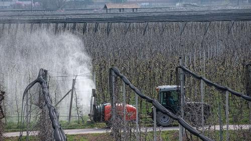 Archivfoto: Mayk Wendt