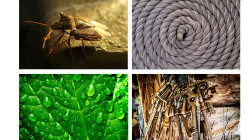 Fotos: Daniel Zaugg / z. Vfg.