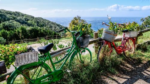 Ein ganzes Jahr bezahlten Urlaub. Wenn man weiss, wie. Foto: Jon Duschletta