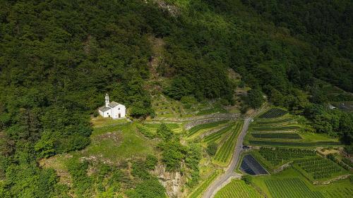 Neben dem Kirchlein von Campascio wachsen die Olivenbäume, unterhalb sind die Beerenplantagen. Marco Triacca und Nicolò Paganini sind mit ihrer Firma «Piccoli Frutti» für den agroPreis nominiert. Fotos: Alessandro Bellusio, z. Zfg