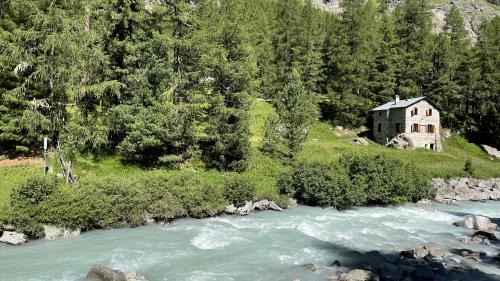 Die Wassertemperaturen in europäischen Berggewässern steigen seit Jahrzehnten. Foto: Reto Stifel