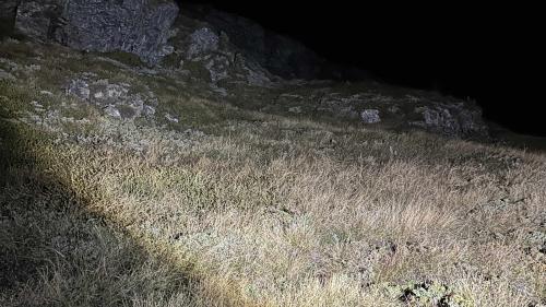 Der Fundort im Gelände. Foto: Kantonspolizei Graubünden