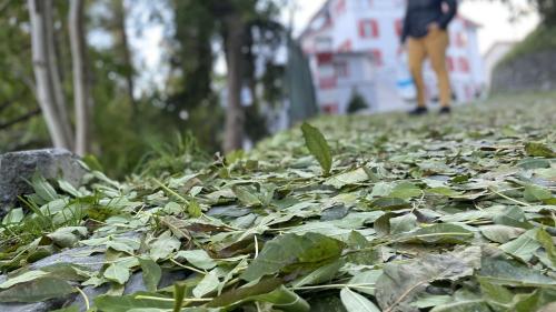 fotografia: Nicolo Bass