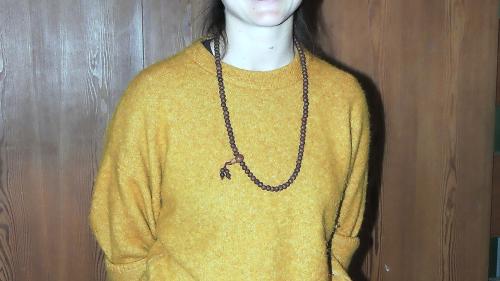 La referenta Alice Vollenweider ha infuormà davart sia lavur sco ­veterinaria in Engiadina. fotografia: Benedict Stecher