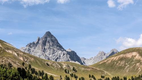 Foto: Schweizerischer Nationalpark